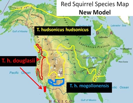 Watching the World Wake Up: Stuff On The Trail, and All About Red Squirrels